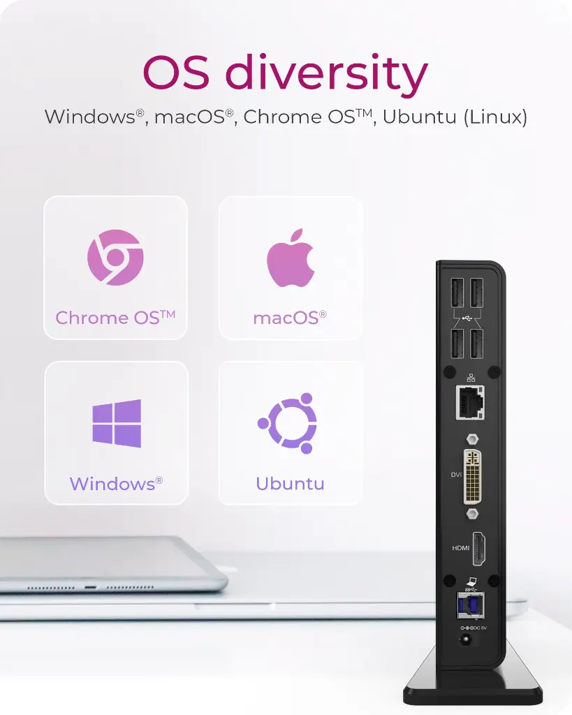 3.webp