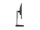 AOC 24P1 Productivity Monitor 23.8" DP｜HDMI｜VGA ｜DVI｜Adjustable Stand