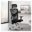 Free Product - Office Chair - Ergonomic Mesh Adj. Ht. D78