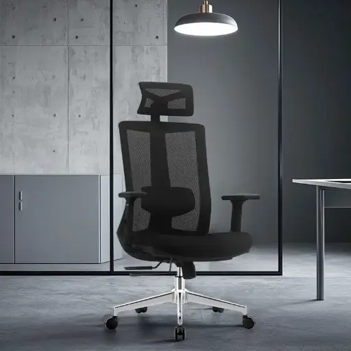 Office Chair - Ergonomic SPINEER Executive 150KG